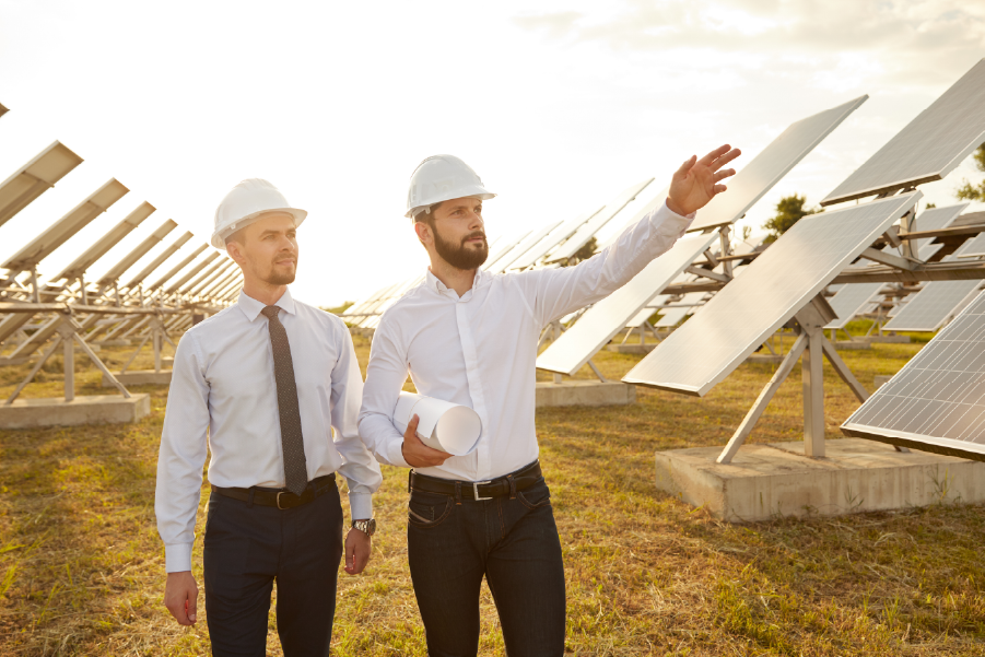 Two building industry professionals standing in a field of green solar panels