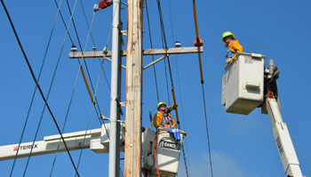 Cherry Picker