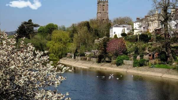 Tiverton town riverside with the church and blossoming trees