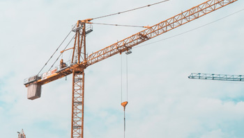 Crane